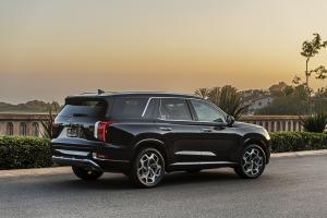 Hyundai Palisade Calligraphy 2020 года  (NA)